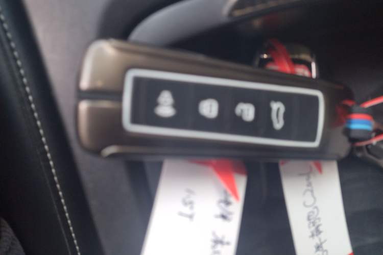 Used Tank 300 2021 Off-Road Edition 2.0T Challenger
