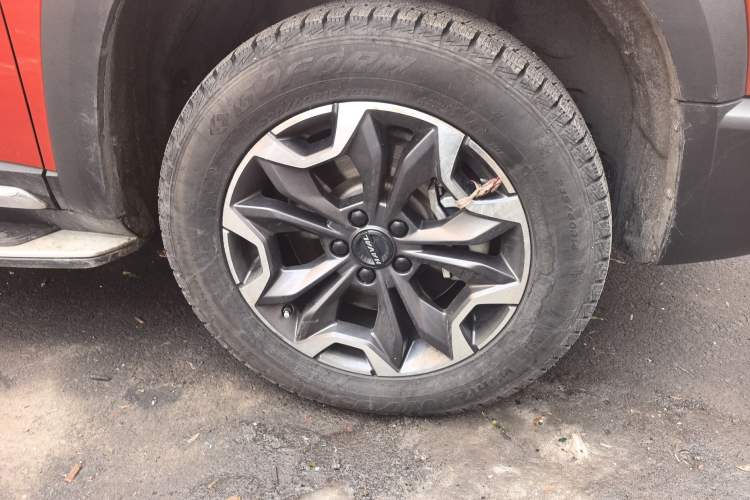 Used Haval DARGO 2021 2.0T DCT 4x4 Chinese Rural Dog Edition
