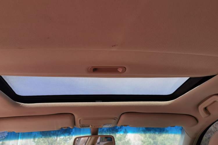 Used BYD G6 2011 1.5T Manual Luxury Edition Headliner