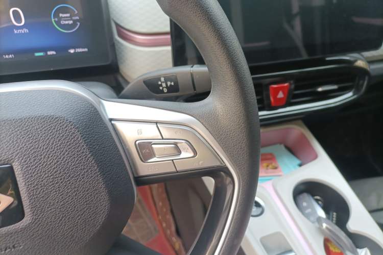 Used SOL E10X 2022 Flower Fairy Design Four-Leaf Clover