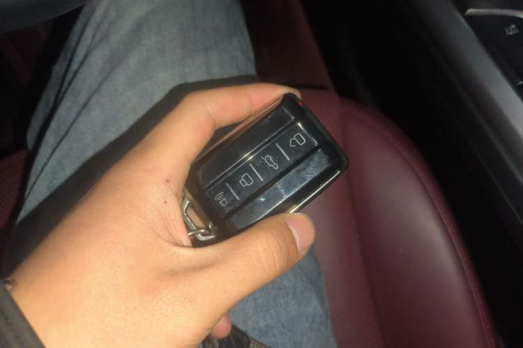 Used Tank 300 2024 2.0T Conqueror Interior 1