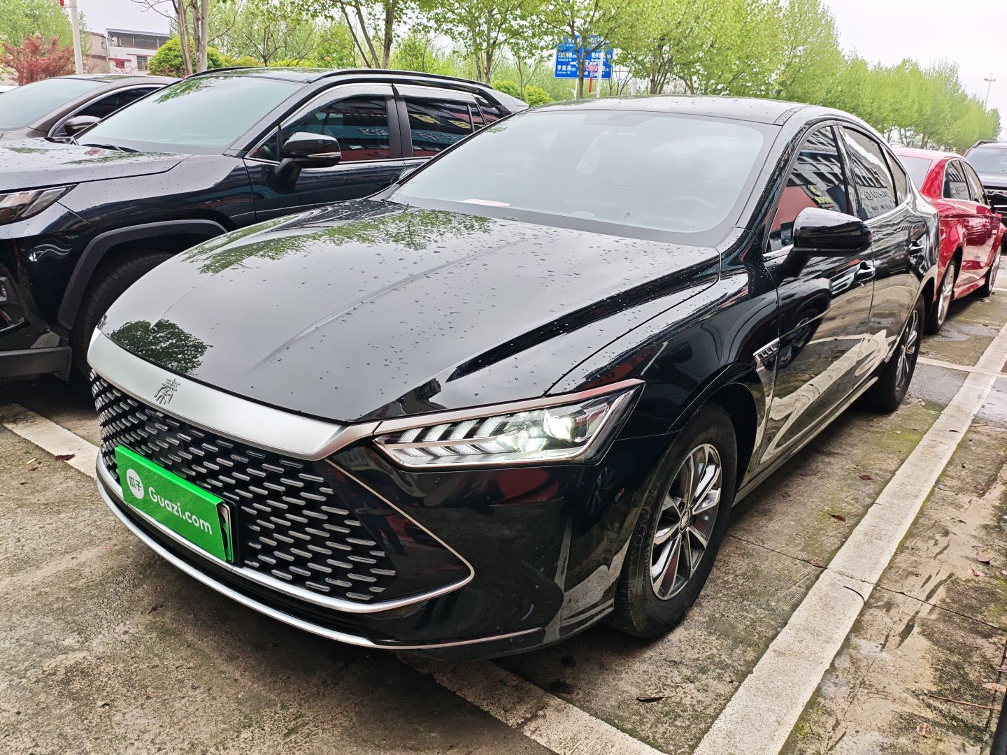 Parte inferior delantera