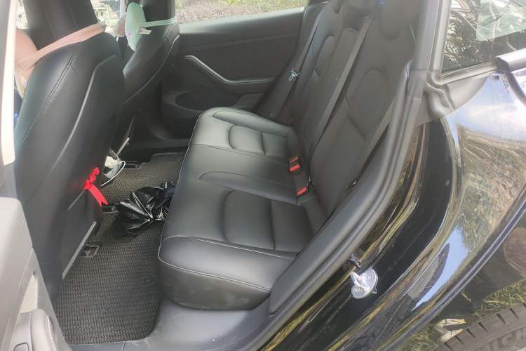 Used Tesla Model 3 2021 Standard Range Rear-Wheel Drive Upgraded Version 3D6
