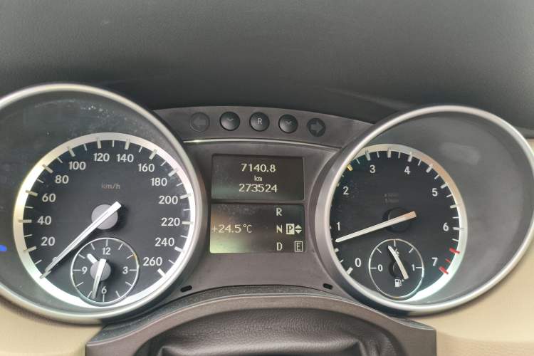 Used Mercedes-Benz R-Class 2010 R 300 L Business Model
