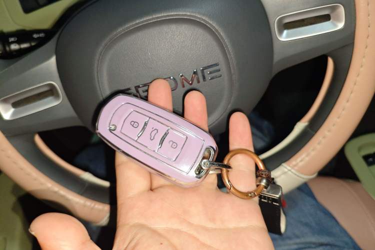 Used Geely Galaxy Panda 2023 Panda Mini 200km Endurance Bear
