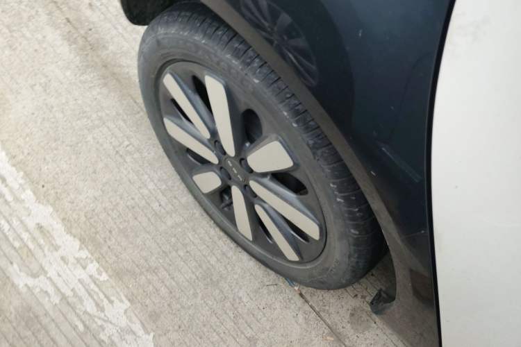 Used ORA Black Cat 2019 351 km Family Edition
