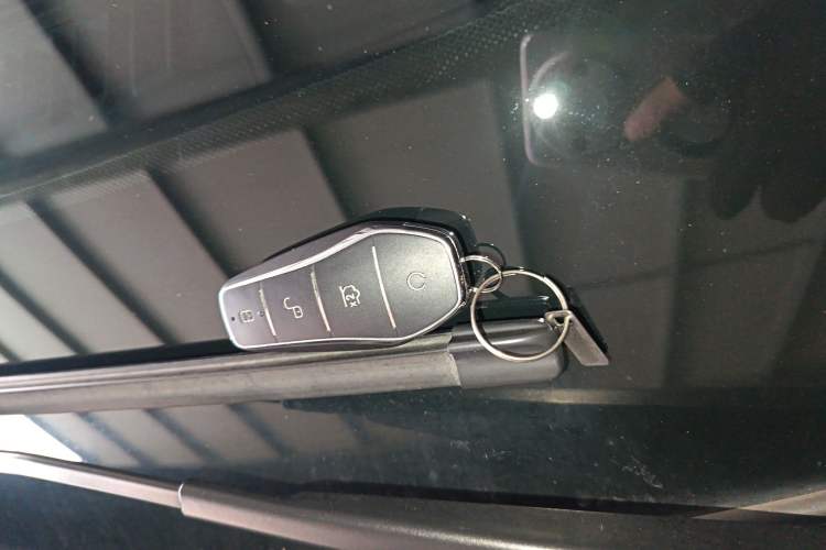 Used BYD Tang New Energy 2025 Intelligent Driving Version DM-i 115KM Flagship Edition