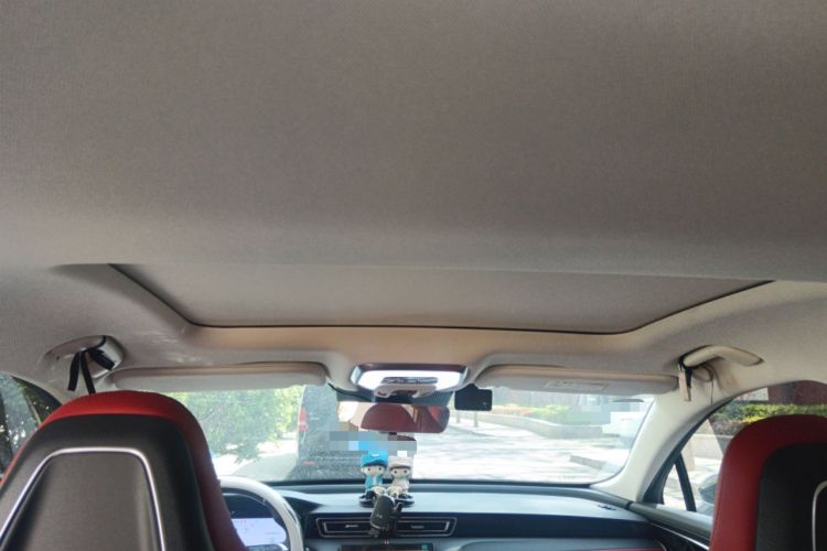 Used Hongqi H6 2024 2.0T ZhiMei Edition Headliner