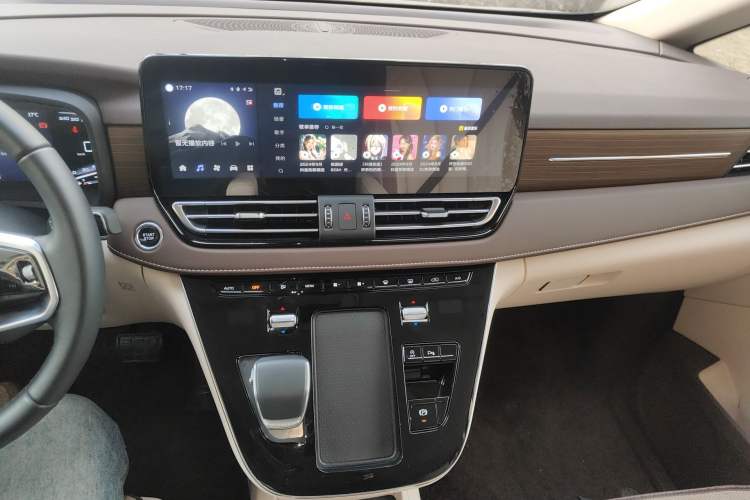 Used Hongqi HQ9 2024 2.0T Business Edition
