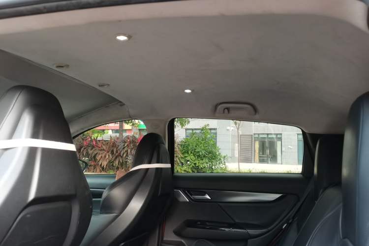 Used XPeng G3 2019 Deluxe Edition Headliner