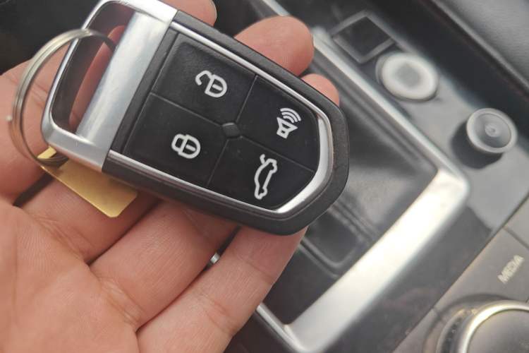 Used BORGWARD BX5 2017 20TGDI Automatic Two-Wheel Drive New Edition
