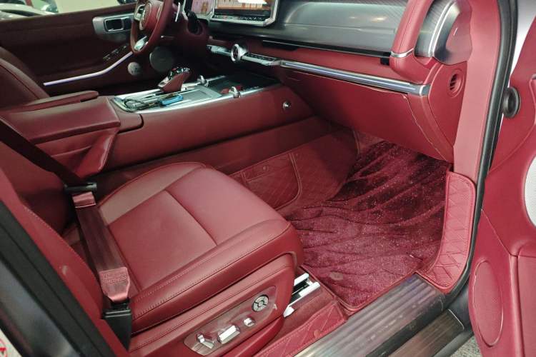 Used Tank 700 New Energy 2024 Hi4-T Extreme Edition Right Front Seat