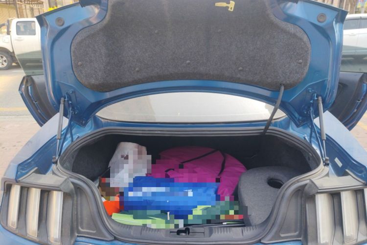 Used Ford Mustang 2017 2.3T Performance Edition