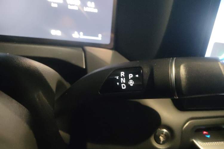 Used Tank 300 2025 2.4T Diesel Version