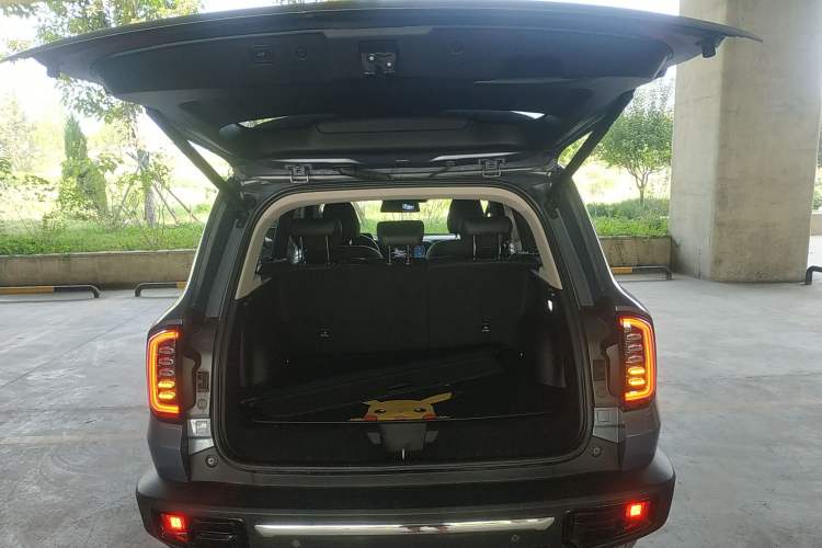 Used Haval DARGO 2021 2.0T DCT 4x4 Chinese Rural Dog Edition