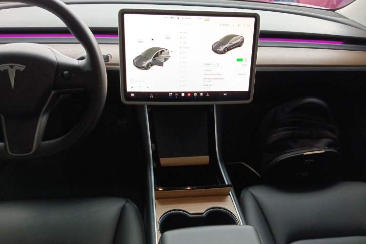 Used Tesla Model 3 2020 Standard Range Rear-Wheel Drive Upgraded Version