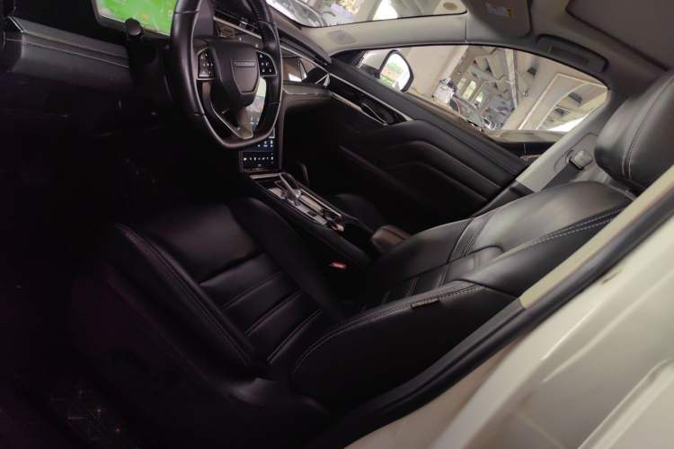 Used Venucia Star 2020 260T Automatic XingShang Edition Left Front Seat