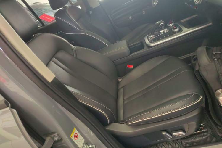 Used Tank 300 2024 2.0T Conqueror