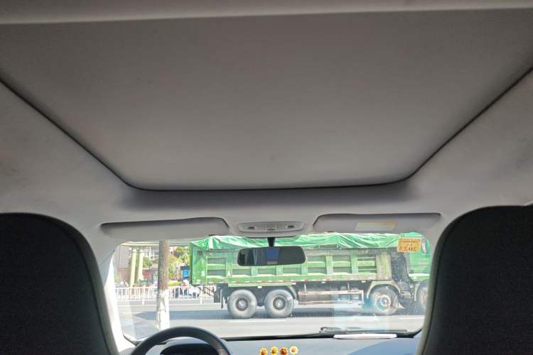 Used Leapmotor T03 2021 400 Comfort Edition Headliner