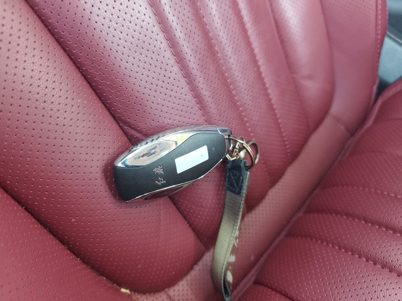 Hongqi H5 2024 2.0T Automatic Smart Connect Flagship Edition - Chinese Trim Chang — снимка 17
