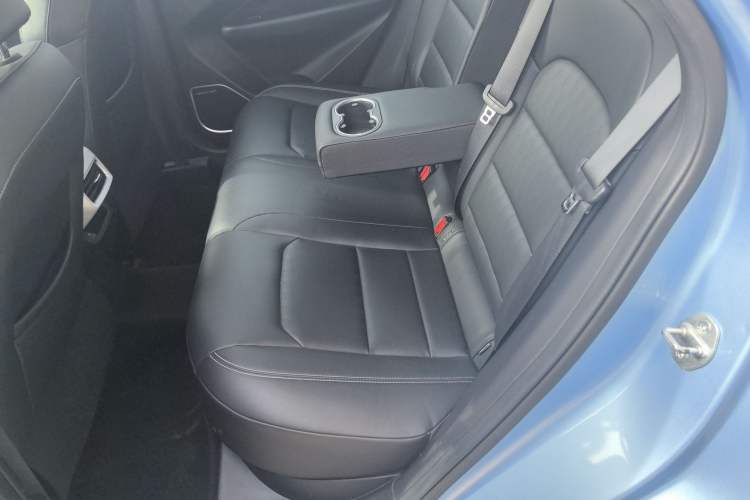 Used Geometry C 2020 Selected Range Edition 550 KM C++