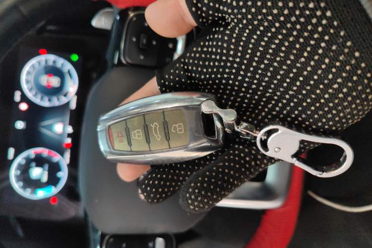 Used Haval DARGO 2022 2.0T DCT 4x4 Chinese Rural Dog Hunting Edition
