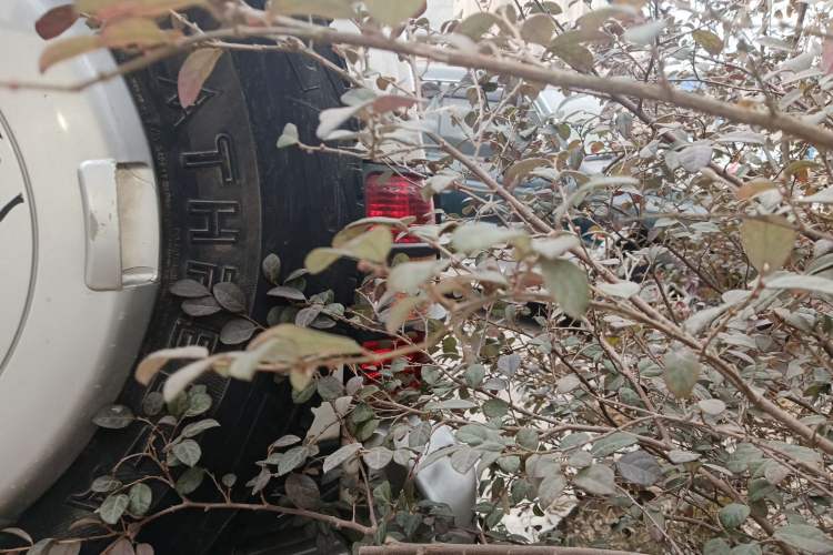 Used Leopaard Heijingang 2013 2.2L Manual Two-Wheel Drive Standard Version