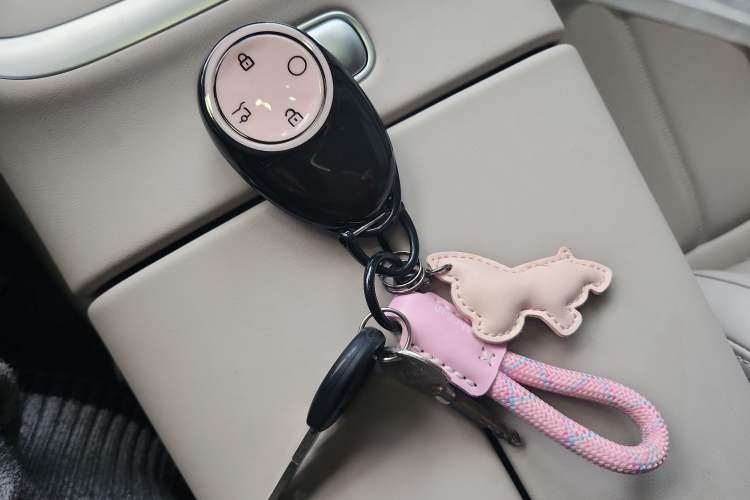 Used AION UT 2025 420 Smart Edition Vehicle Key