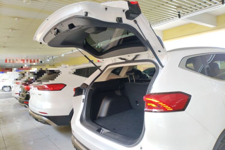 Used Haval H6 2023 National Trend Edition 1.5T Automatic Urban Version
