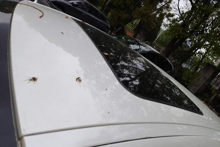 Used Citroen C5 2017 350THP Automatic Luxury Model Roof