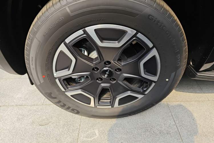 Used Formula Leopard Tai 7 2025 Model 200 km Two-Wheel Drive Max Edition