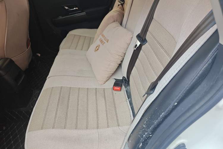 Used FORTHING Joyear S50 2019 Classic Model 1.5L Manual Comfort Edition
