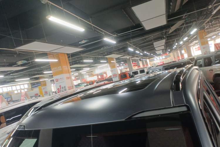 Used Tank 700 New Energy 2024 Hi4-T Extreme Edition Roof