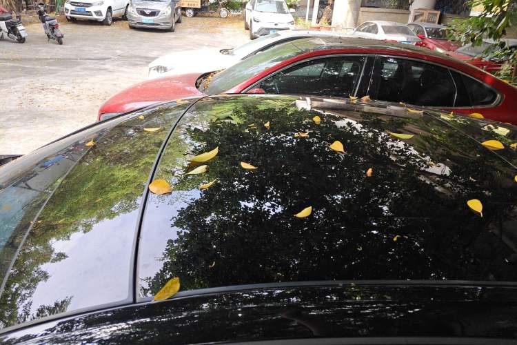 Used Audi A7L 2024 45 TFSI quattro Black Warrior Edition