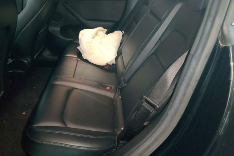 Used Tesla Model Y 2022 Rear-Wheel-Drive Version Left Rear Seat