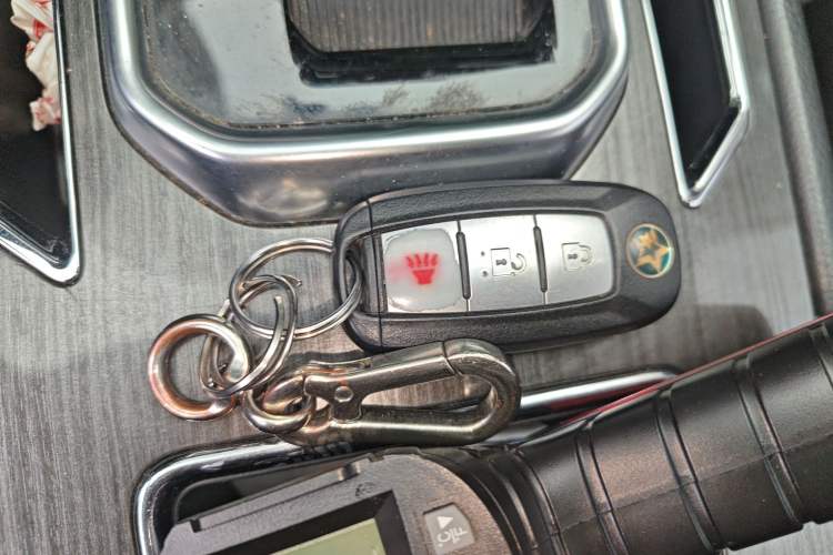 Used Venucia T90 2018 2.0L CVT Smart Connect Luxury Edition China V Standard