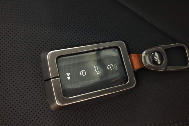 Used Tank 400 New Energy 2024 Hi4-T Off-Road Edition Interior 1