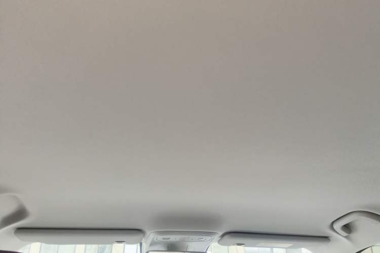 Used Leapmotor B10 2025 510 Comfort Edition Headliner