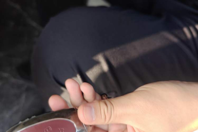 Used Wey Gaoshan 2025 Four-Wheel Drive Alpine 8 Vehicle Key