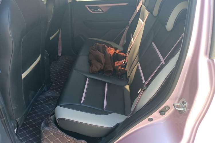 Used SOL E10X 2022 Flower Fairy Design Four-Leaf Clover Left Rear Seat