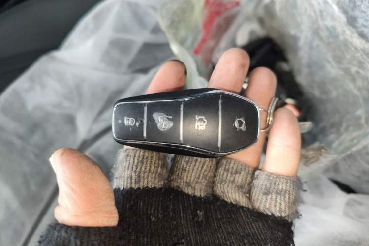 Used BYD Qin PLUS 2025 DM-i Smart Drive 55KM Leading Model
