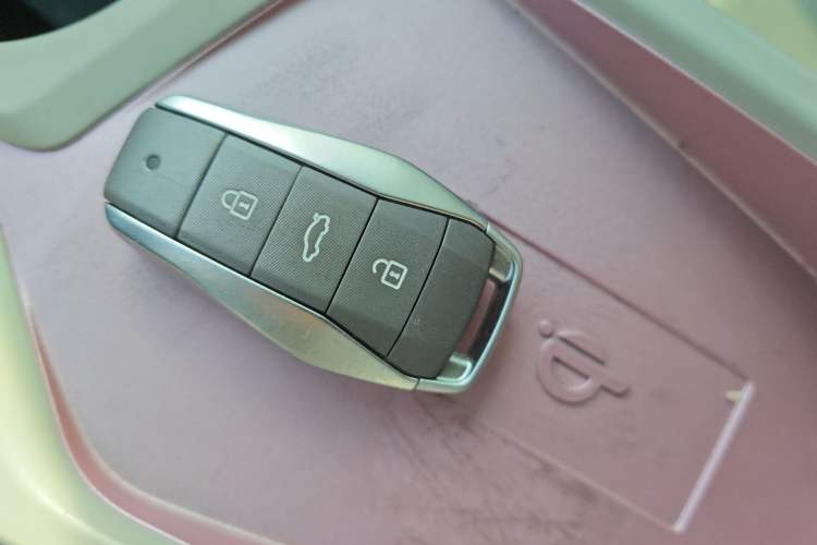 Used SOL E10X 2022 Flower Fairy Design Sunflower