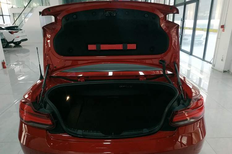 Used BMW 2 Series 2019 225i Convertible Coupe Sports Design Package