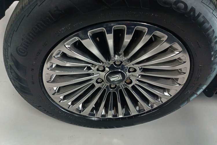 Used Tank 500 2022 3.0T Business Edition "Creation Realm" Design 5-Seater
