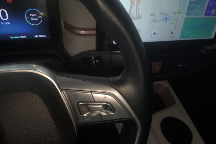 Used SOL E10X 2022 Flower Fairy Style Baby's Breath