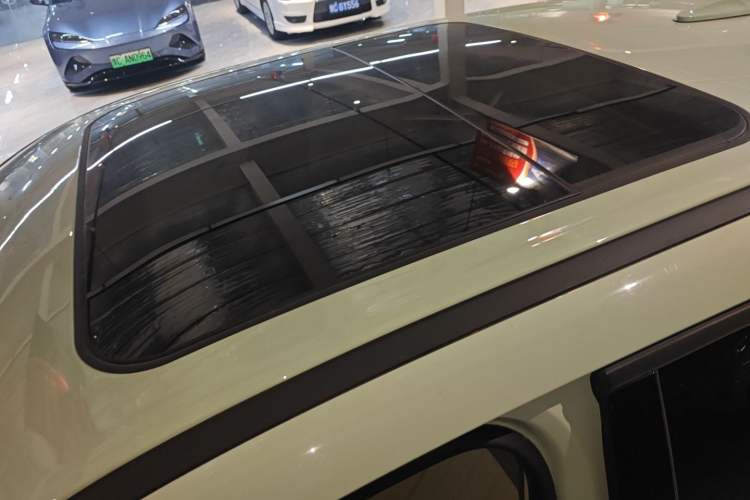 Used ORA Good Cat 2024 501 km Luxury Version Roof