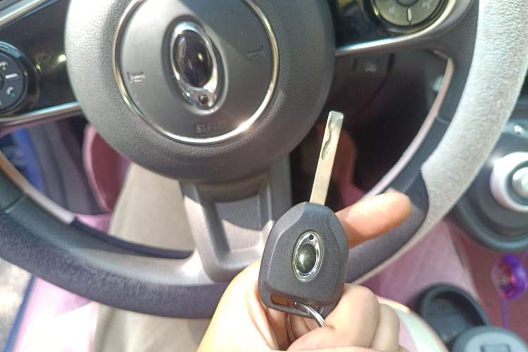 Used ORA Black Cat 2019 351 km Goddess Edition