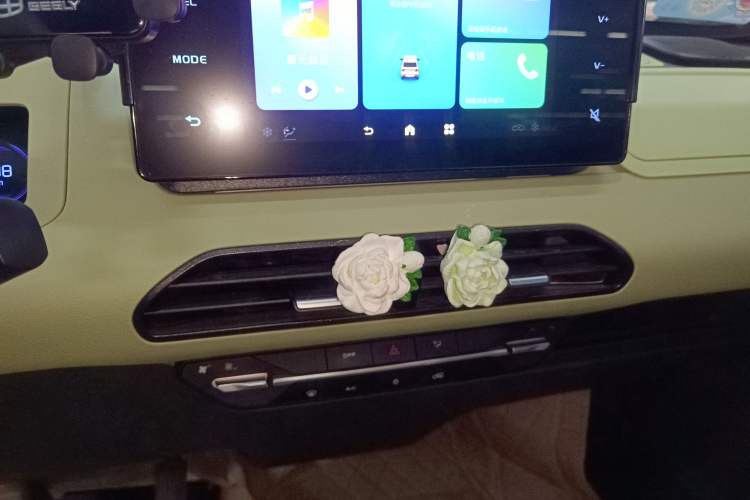 Used Geely Galaxy Panda 2023 Panda Mini 200km Endurance Bear
