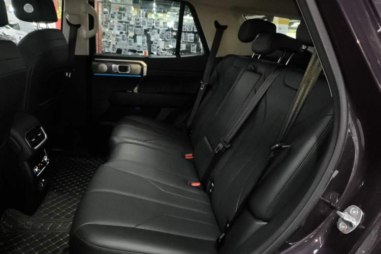 Used Tank 400 New Energy 2026 Model—Hi4-Z Smart Enjoyment Version Left Rear Seat