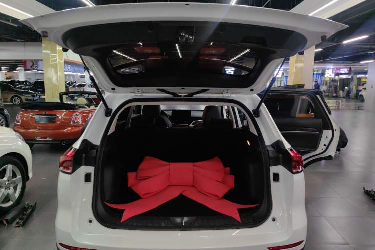 Used Haval H6 2021 National Trend Edition 1.5T Automatic Urban Version
